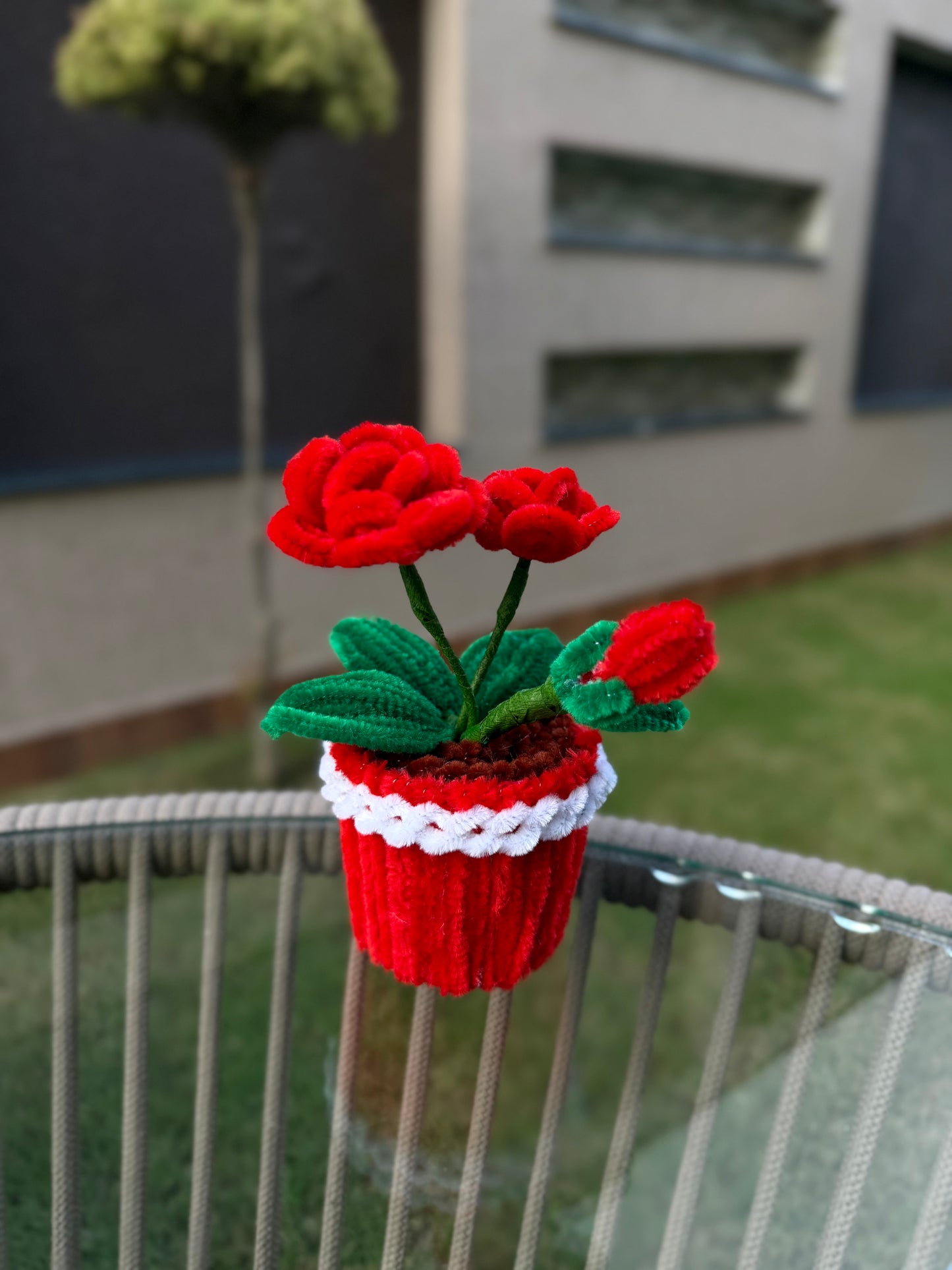 Red Rose Flower Pot