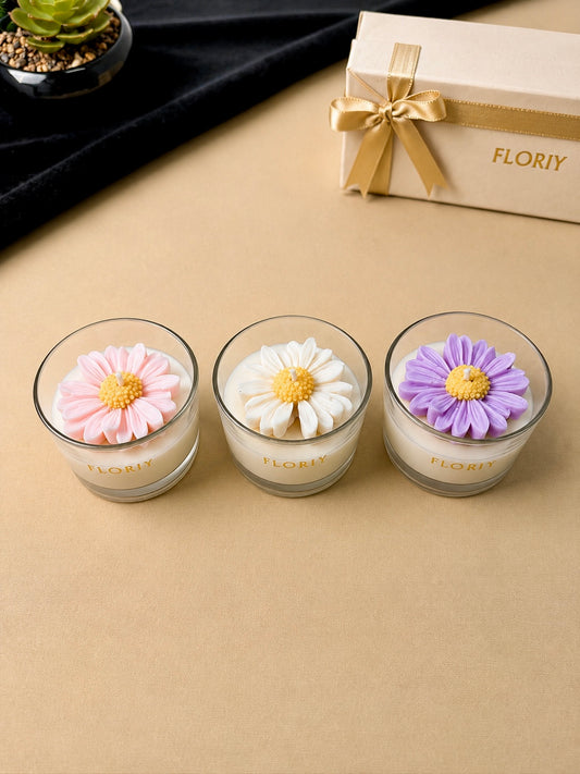 Daisy Gift Set