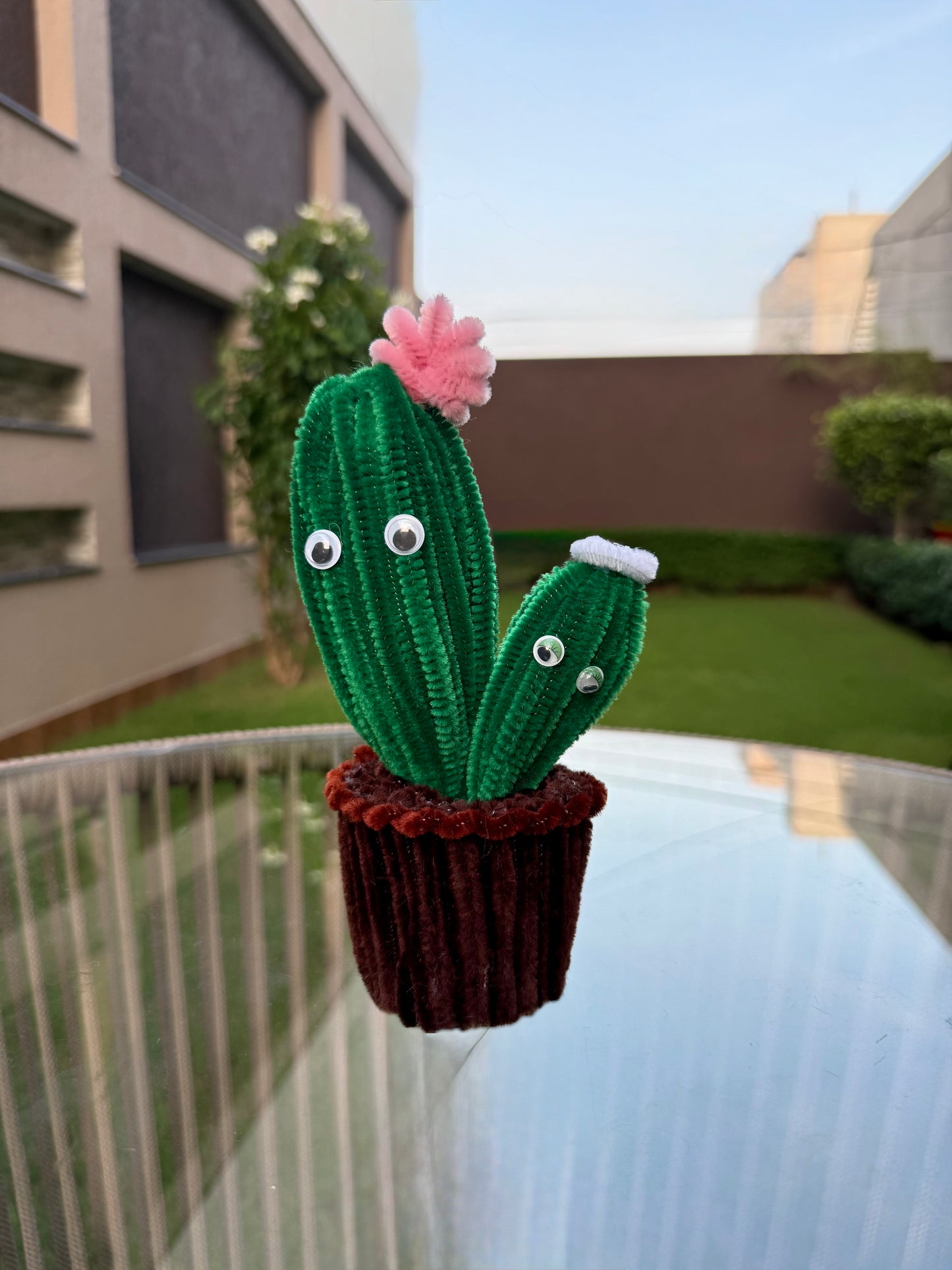 Cactus Pot