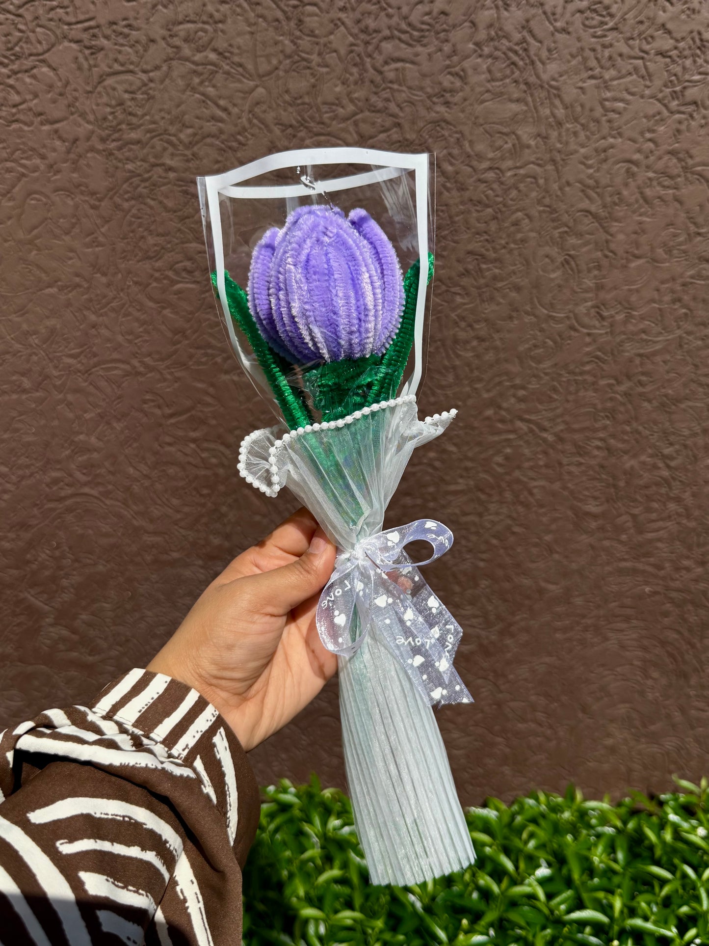 Tulip Flower