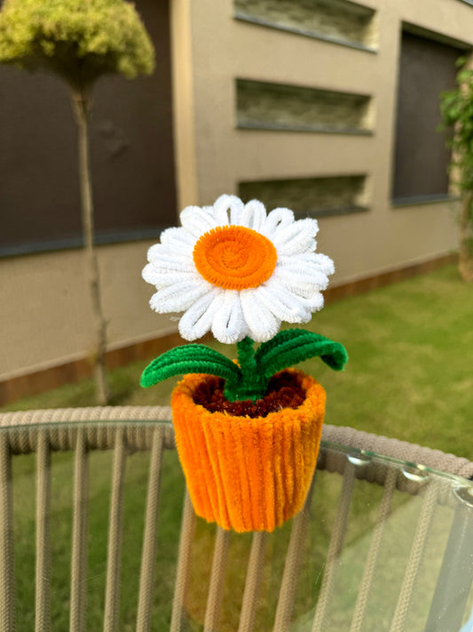 Daisy Flower Pot