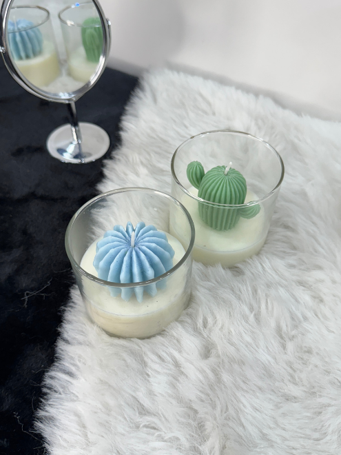 Succulent Candle Set of 2