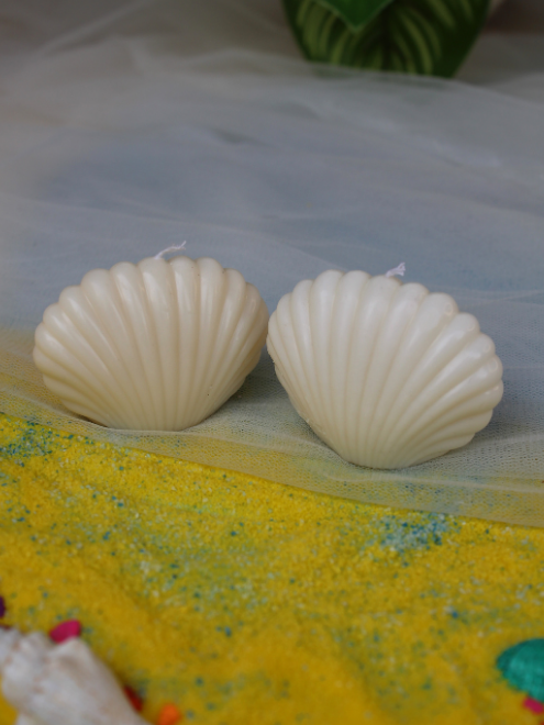 Shell Breeze - pack of 2