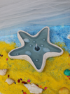 Starfish of the Sea