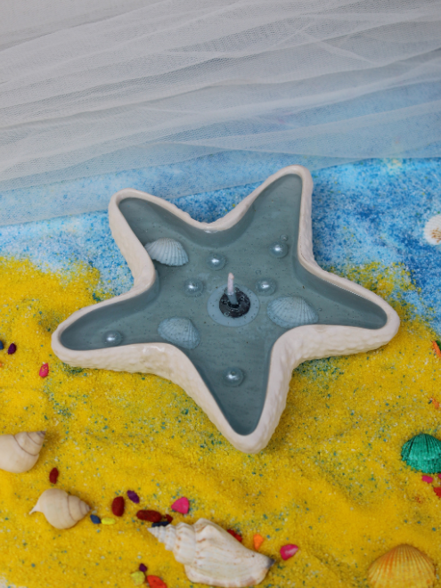 Starfish of the Sea