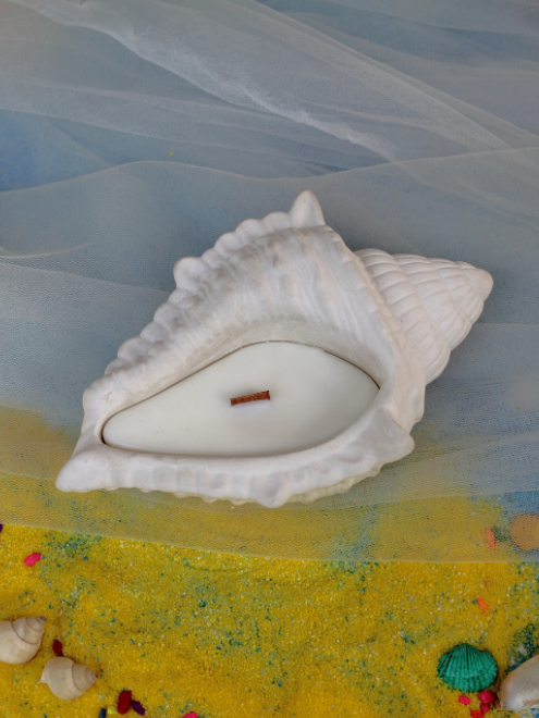Big Shell Candle