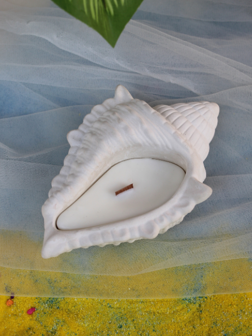Big Shell Candle