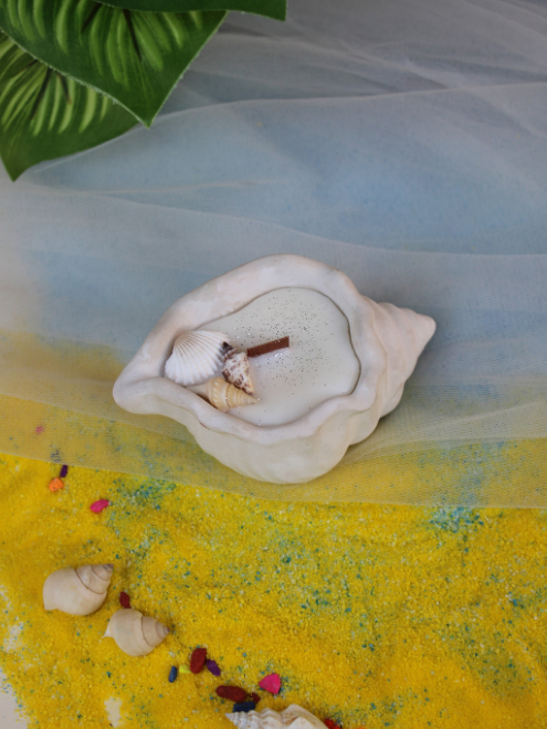 Sea Shell Candle