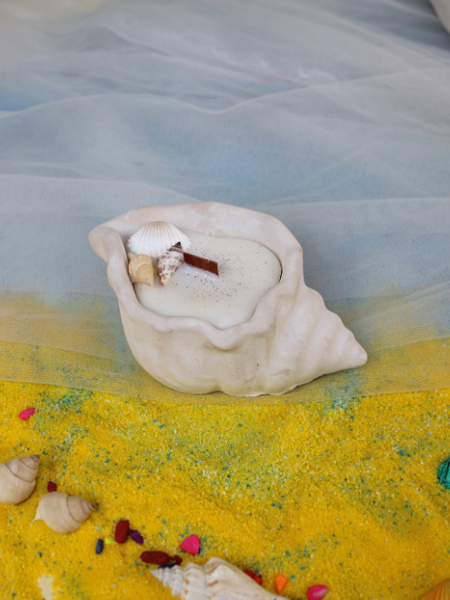 Sea Shell Candle