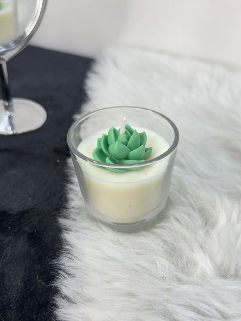 Succulent Glass set of 5