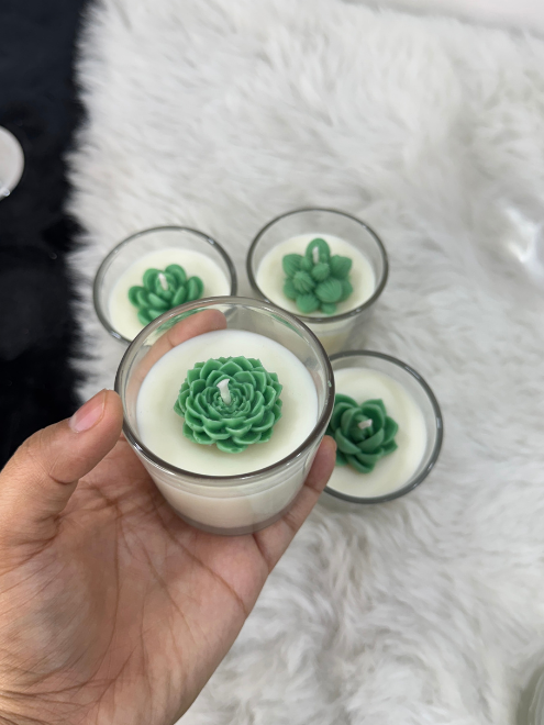 Succulent Glass set of 5