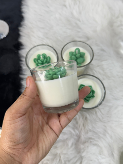 Succulent Glass set of 5