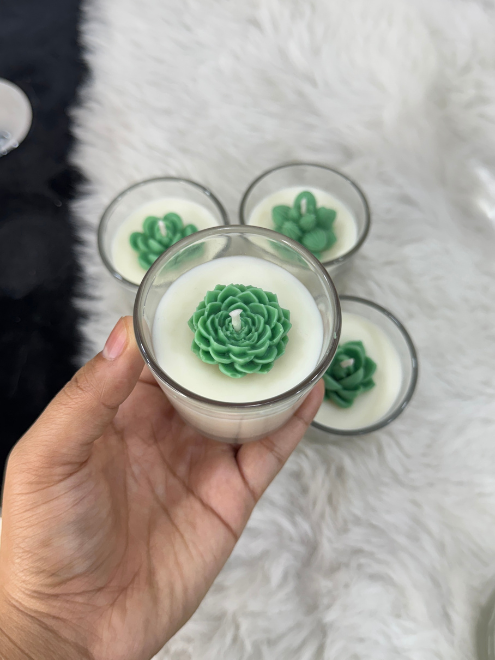 Succulent Glass set of 5