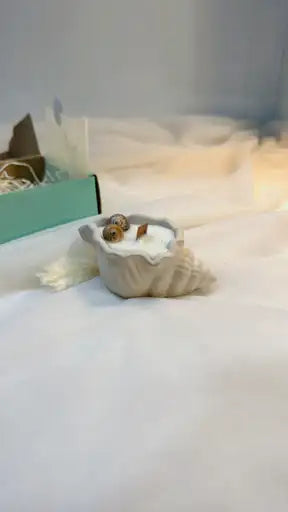 Sea Shell Candle