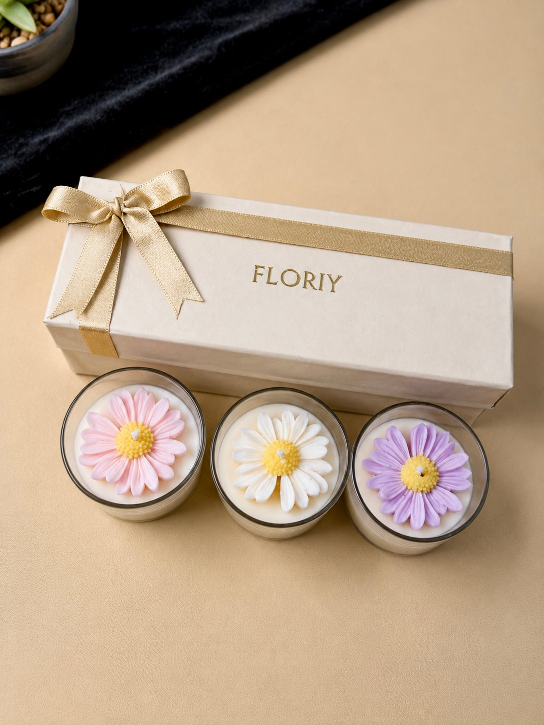 Daisy Gift Set