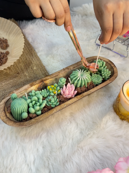 Cactus and Succulent Bowl