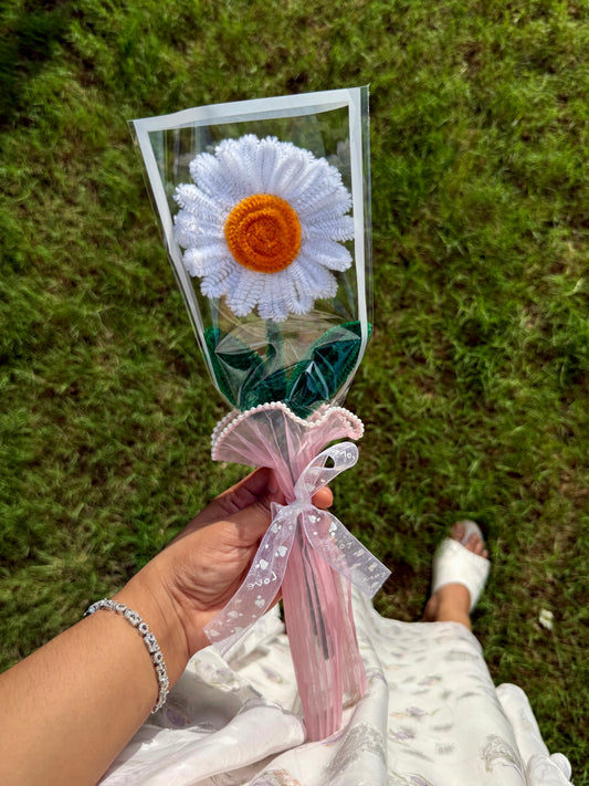 White Daisy