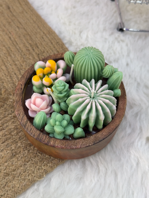 Succulent Garden Candle
