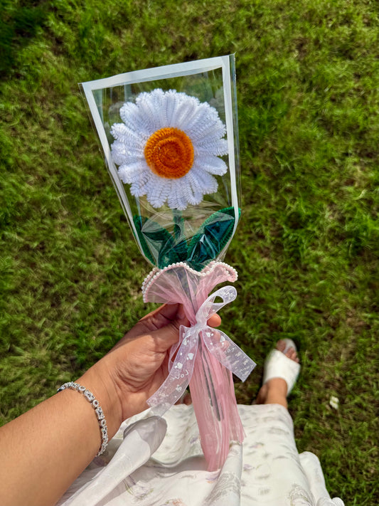 White Daisy