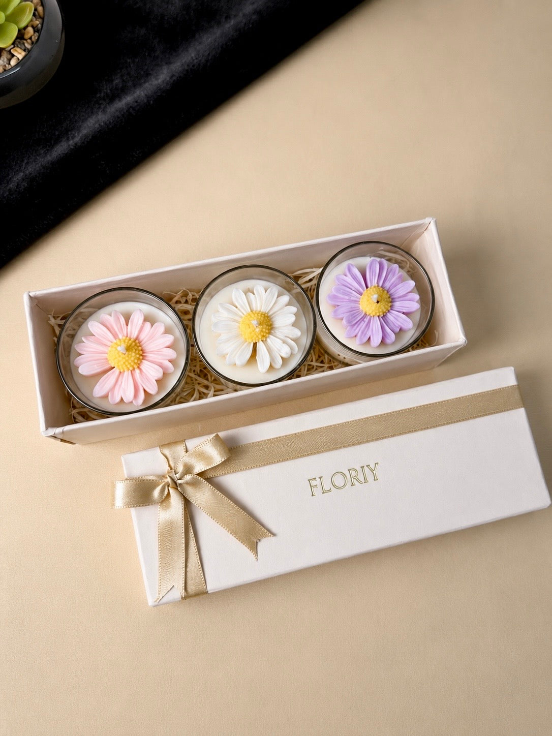 Daisy Gift Set