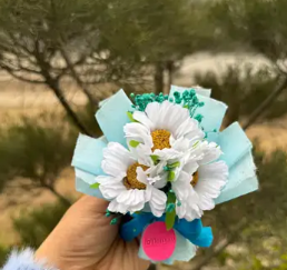 Daisy Mini Bouquet